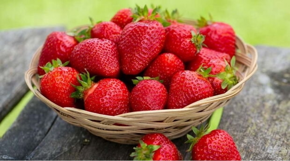 teze-chiyeleklerin-gozlenilmez-xususiyyetleri