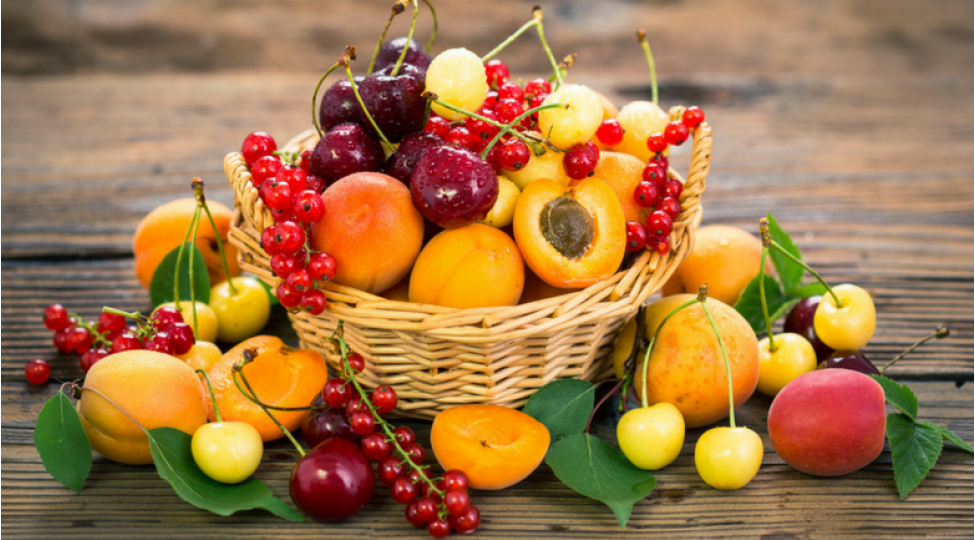 meyve-tumlarinin-mocuzevi-faydalari