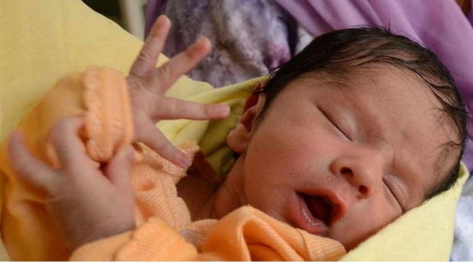 olmush-korpe-qebirden-diri-chixarildi-fotovideo