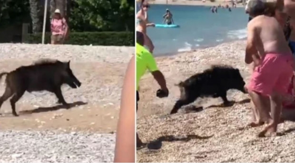 chol-donuzu-qadinahucum-edib