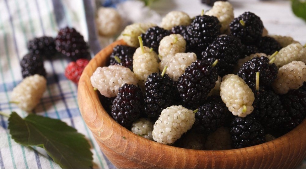 tut-15-xesteliye-shefadir-meshhur-hekimden-resept