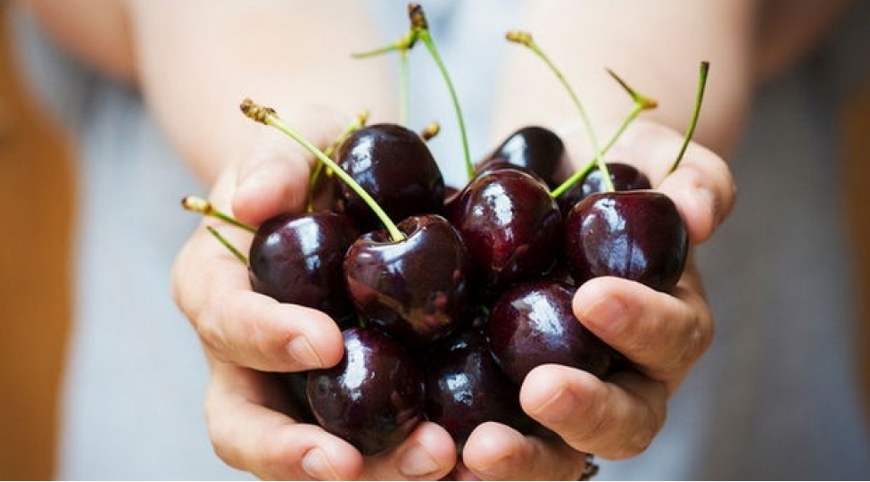 gilas-ve-albalinin-insan-orqanizmine-inanilmaz-faydasi-achiqlanib