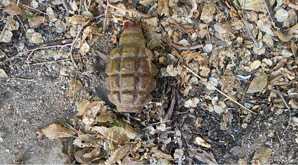 sumqayitda-f-1-el-qumbarasi-ashkarlanib