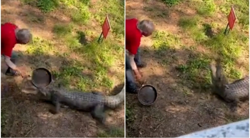 timsahin-ohdesinden-tava-ile-geldi