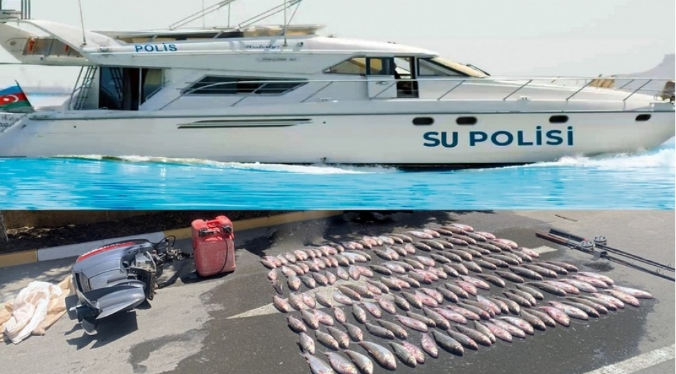 xezerde-korpe-baliqlari-ovlayan-shexsler-saxlanilib-fotovideo