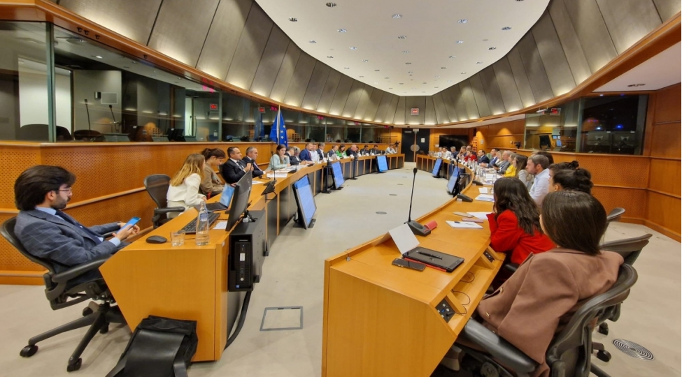 avropada-olkedeki-mina-problemi-ile-bagli-gorushler-kechirilib