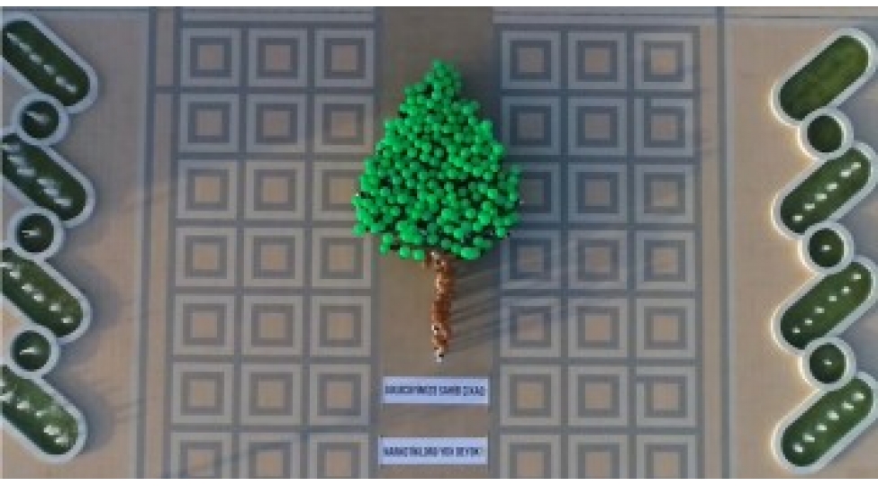 sumqayitda-geleceyimize-sahib-chixaq-narkotiklere-yox-deyek-adli-fleshmob-kechirilib-video