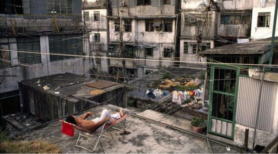 bu-sheherde-hech-bir-qanun-ishlemir-foto