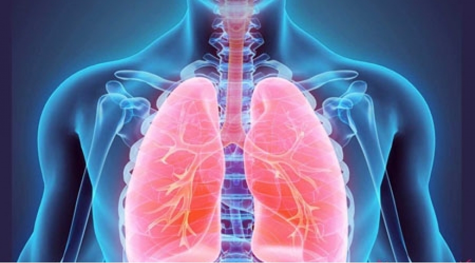 agciyer-xerchenginden-qorunmaq-asan-olacaq