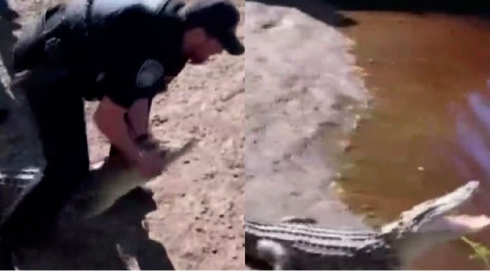 polis-timsahi-elleri-ile-chaya-buraxdi