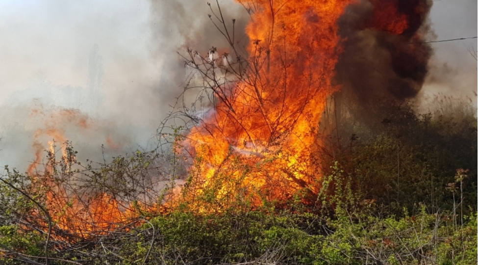 zengilanda-agacliq-erazi-yanir-video