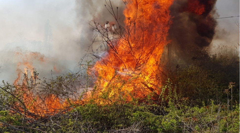 zengilanda-agacliq-erazide-yangin-sondurulub-yenilenib