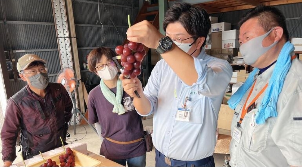 uzum-salximi-10-min-800-dollara-satilib-foto