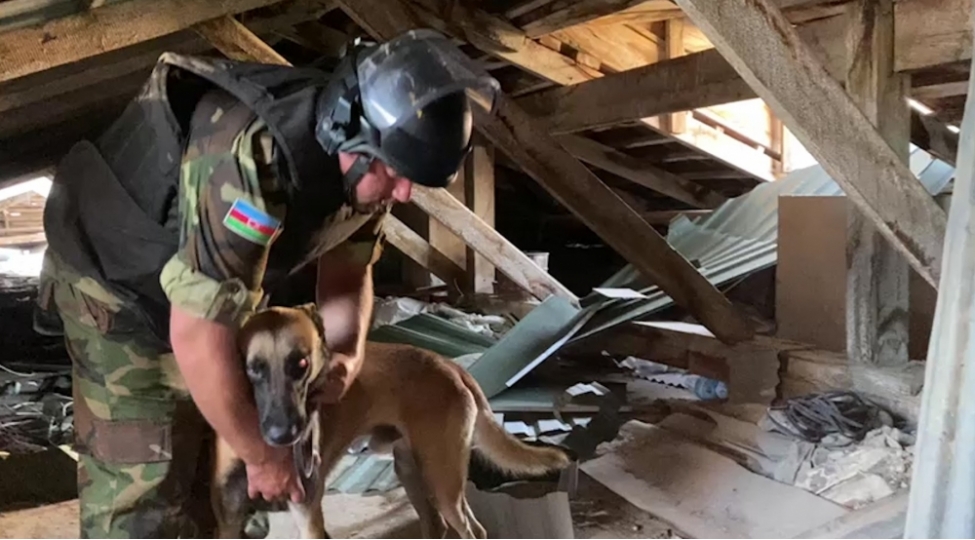 nesimi-rayonunda-herbi-sursat-ashkar-edilib