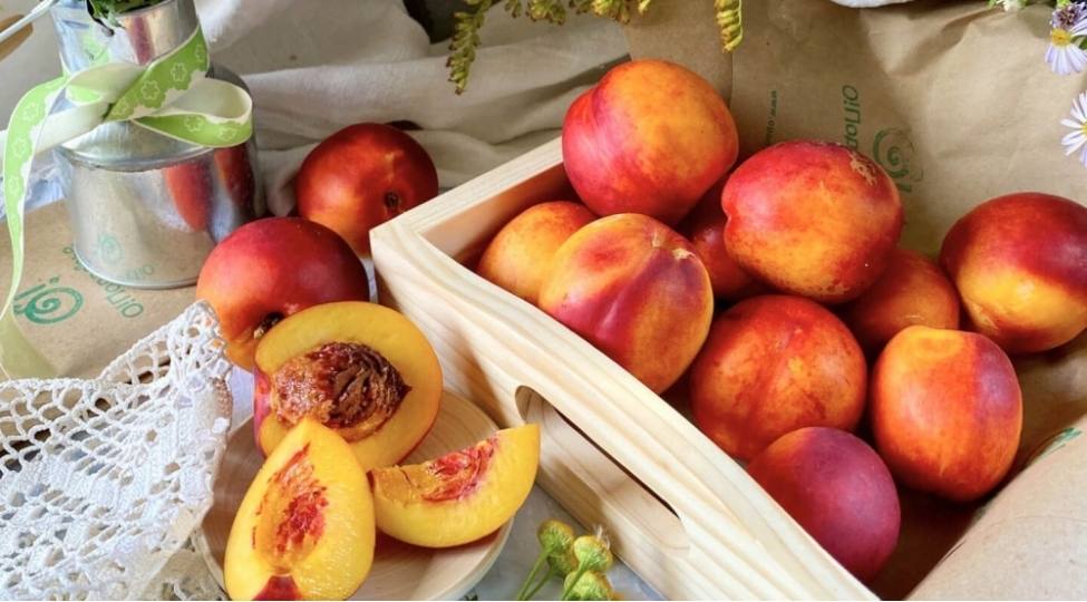 shaftalinin-ureye-tesiri-qabigini-soyub-yeyin