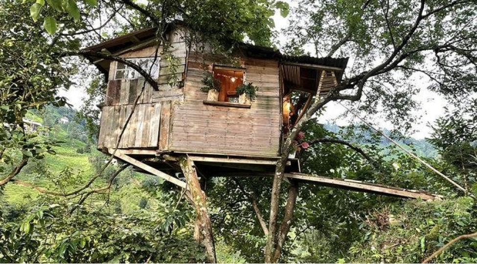 turkiyeli-agaclarin-ustunde-ev-tikib