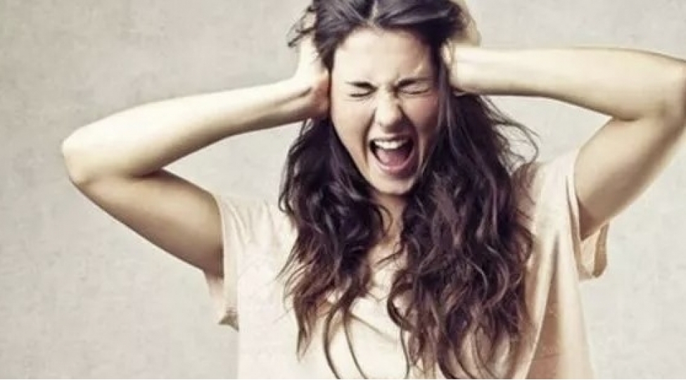 seslere-qarshi-hessassinizsa