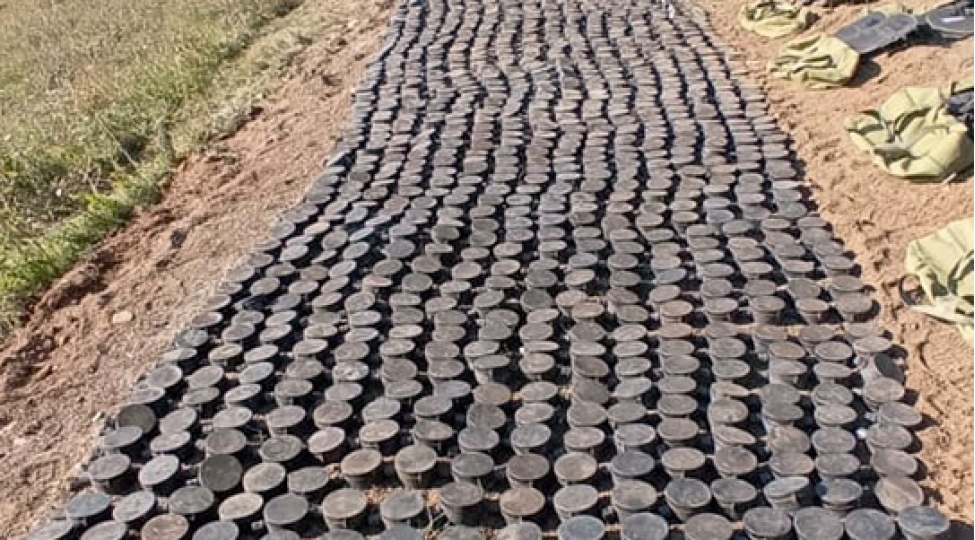 lachinda-bir-gunde-991-mina-ashkar-edilib