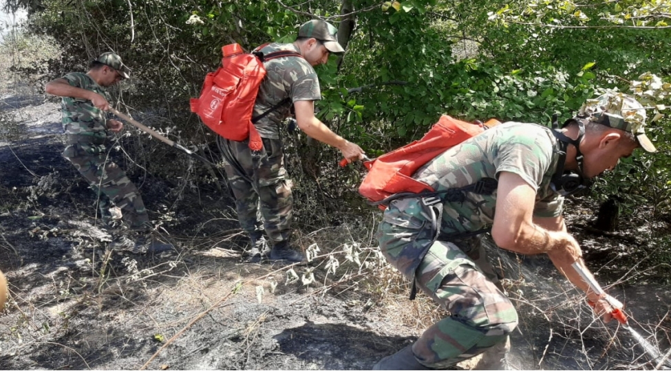 xachmazda-yanginsondurme-ishlerinin-effektli-aparilmasi-uchun-eraziye-yangin-qatari-getirilib