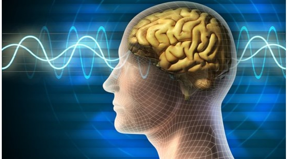 beyini-qorumaq-uchun-ne-etmeli