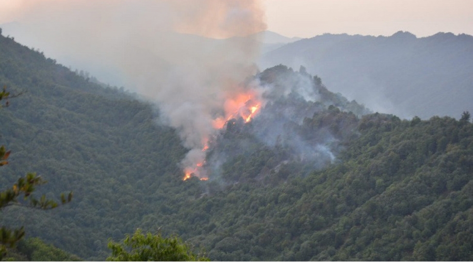 qebelede-dagliq-erazide-bash-veren-yangin-sondurulub-video