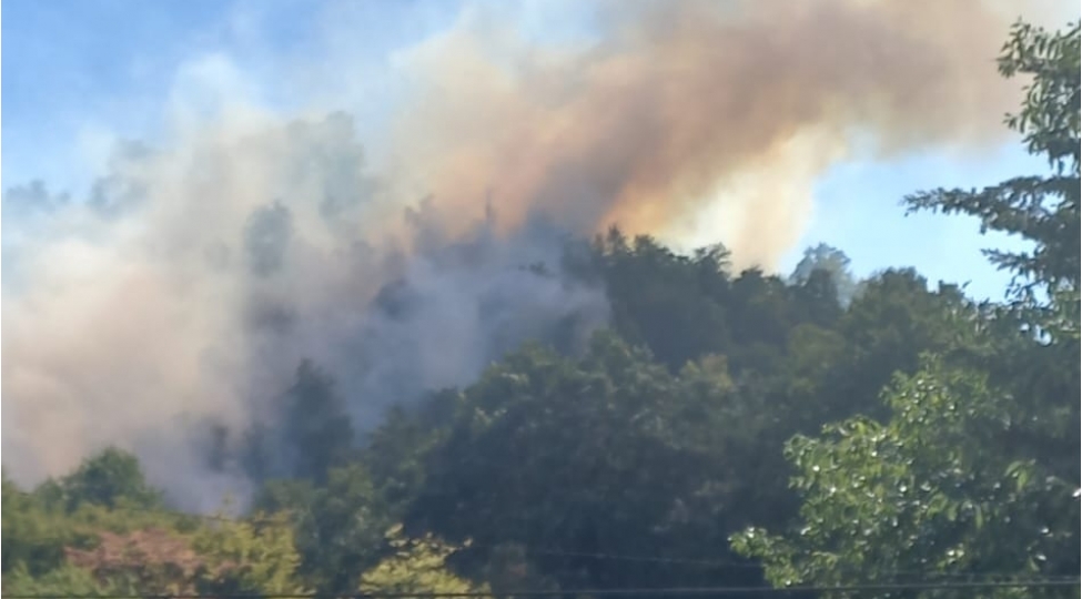 masallida-mesheyangini-bashlayib-videoozel