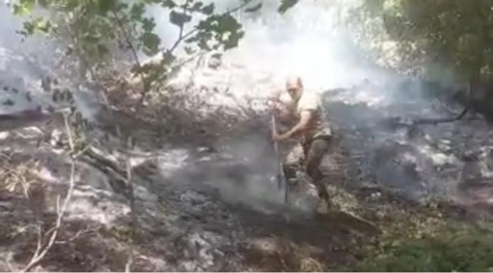 fhn-oguz-rayonda-meshe-dolayinda-bash-vermish-yangin-sondurulub-fotovideo
