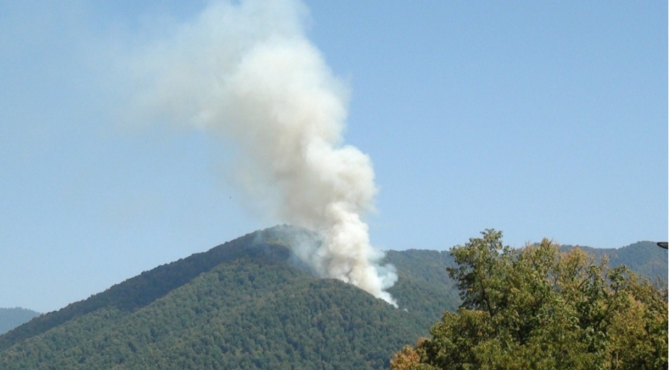 meshe-yanginlari-ile-mubarize-tedbirleri-davam-etdir-video