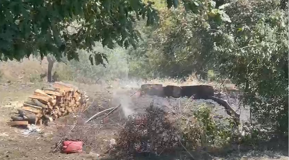 goygolde-agac-komuru-istehsal-eden-ocaqxanalar-ashkar-olunub-video