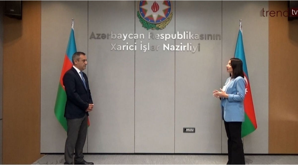 leyla-abdullayeva-son-prosesler-bir-daha-gosterir-ki-ermenistan-sulhe-hazir-deyil-fotovideo