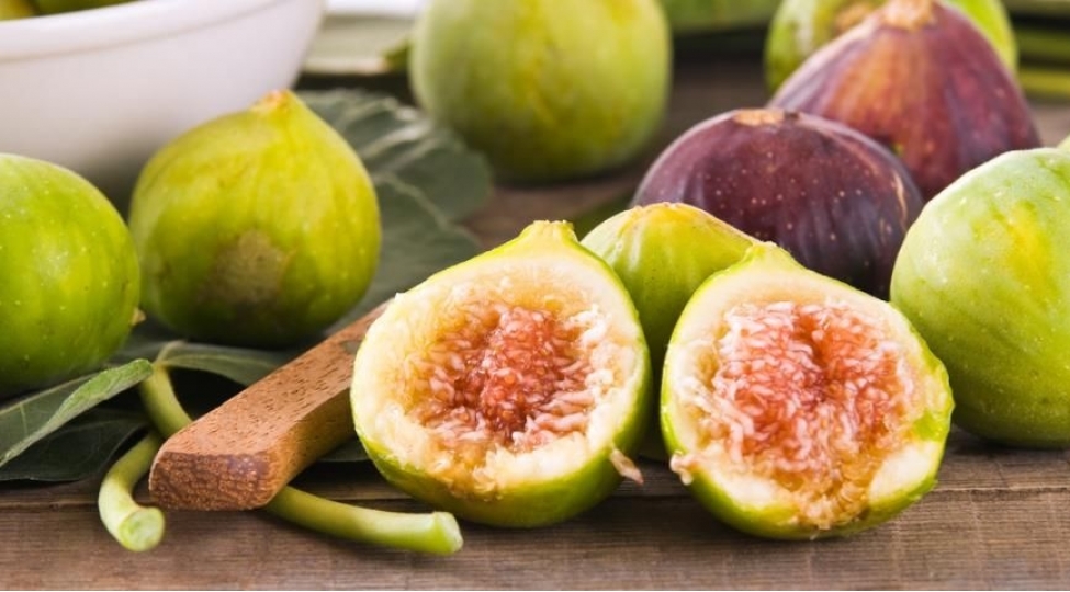 encir-hansi-xestelikleri-sagaldir