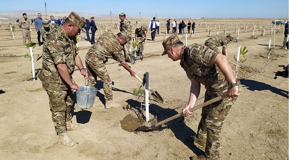 anim-gunu-ile-bagli-agacekme-aksiyasi-kechirilib-foto