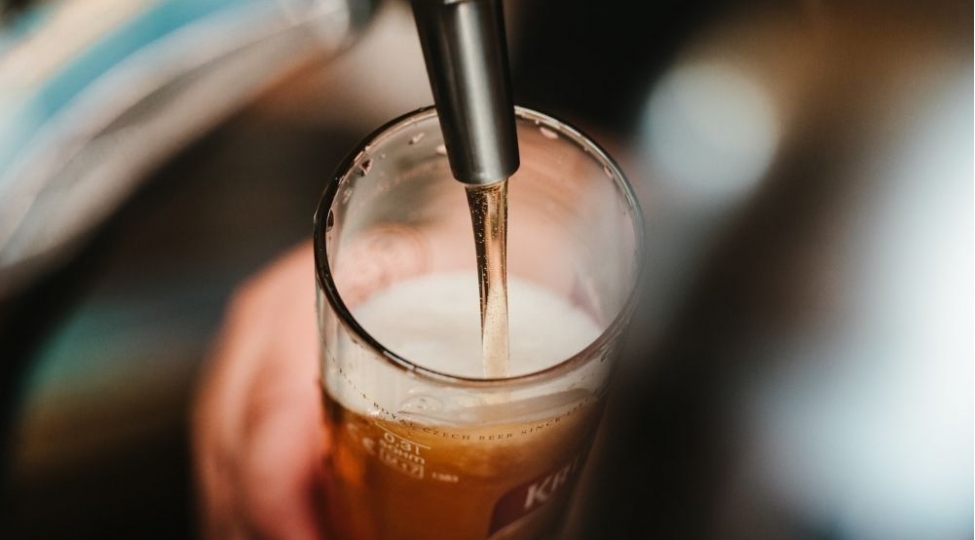 pivenin-beyine-faydasi-subut-olundu