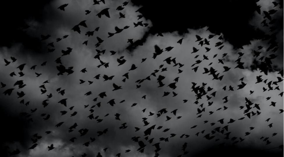 kabuslar-ciddi-bir-xesteliyin-elametidir