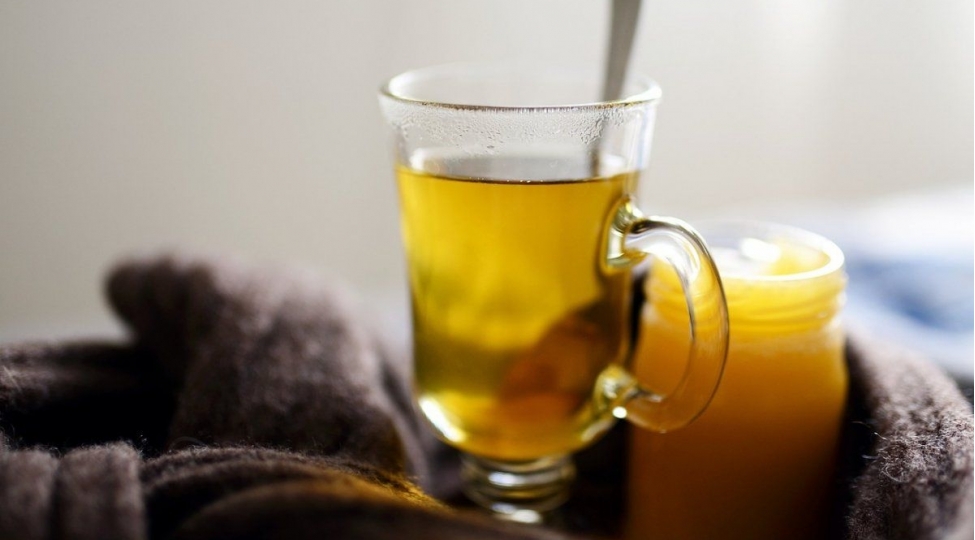 ushaqlar-uchun-tebii-antibiotikler