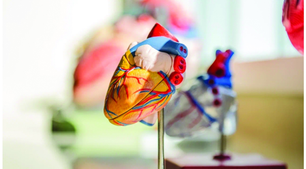 sevgi-hormonu-ureyi-mualice-edir