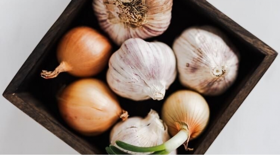 sogan-sarimsaqla-xerchengden-qorunun