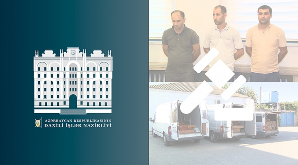 hirkan-milli-parkinda-agaclari-kutlevi-shekilde-kesendeste-uzvlerine-qarshi-emeliyyat-kechirilib