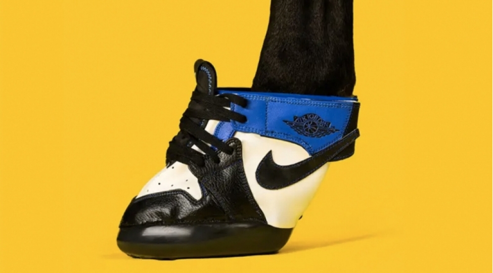 absh-da-atlar-uchun-ilk-ayaqqabilar-yaradildi