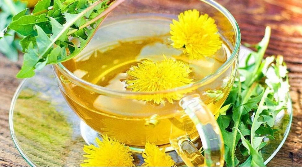 bu-bitki-chayi-medealti-vezi-xerchengine-qarshidir