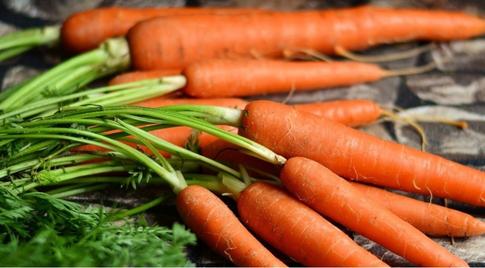 kok-gormeni-artirirmi