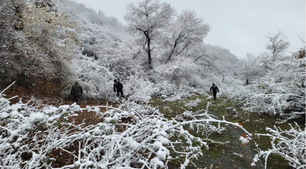 fhn-qebelede-meshede-itkin-dushen-shexsin-axtarishi-davam-edir-video