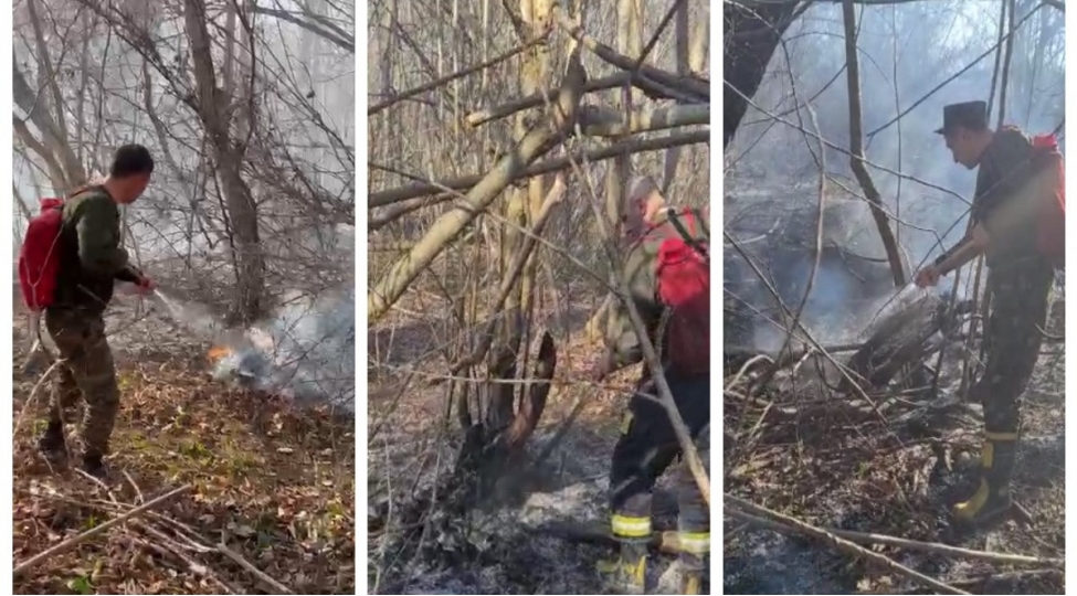 qebelede-meshelik-erazide-yangin-olub-video