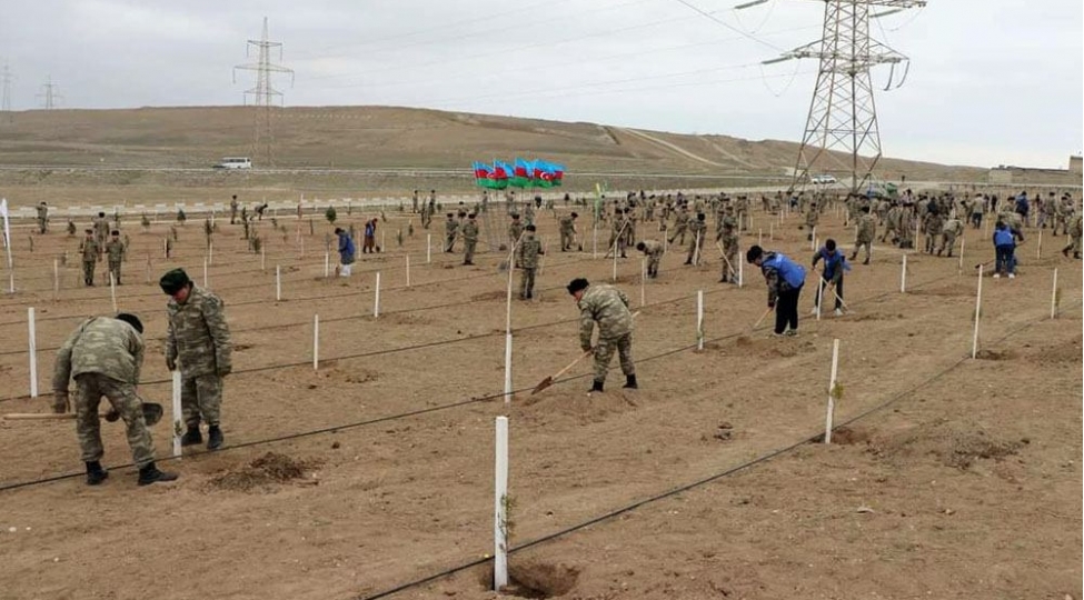 azerbaycan-ordusunda-agacekme-aksiyalari-kechirilib