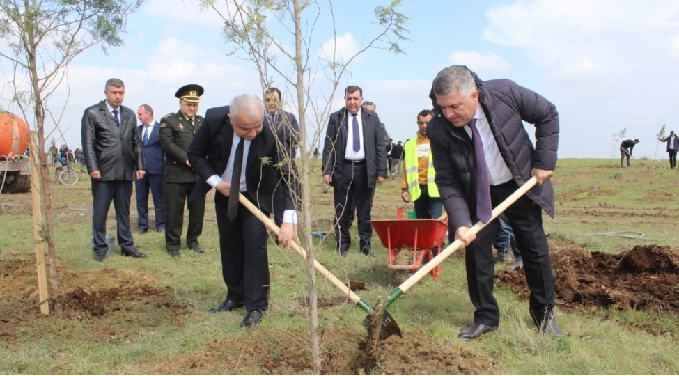 yap-in-yerli-teshkilatlari-agacekme-kampaniyasini-davam-etdirirler-foto