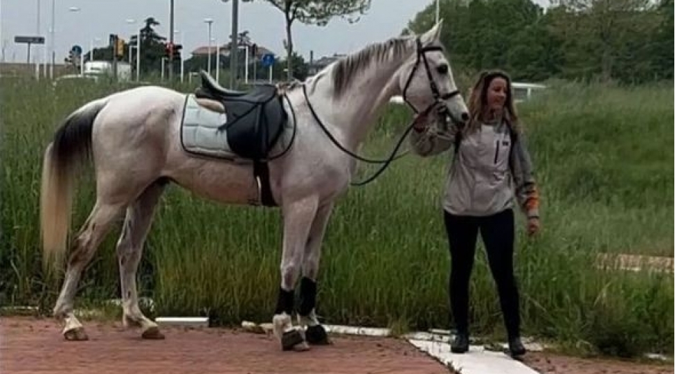 italiyali-qadin-mudirine-esebileshib-ishe-atla-gedir