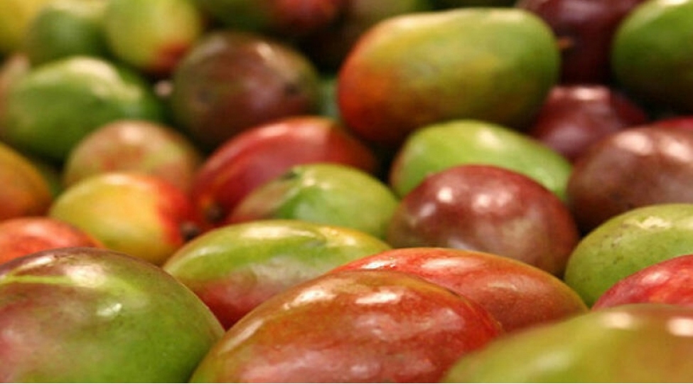 bu-meyveler-ariqlamagin-qarshisini-alir