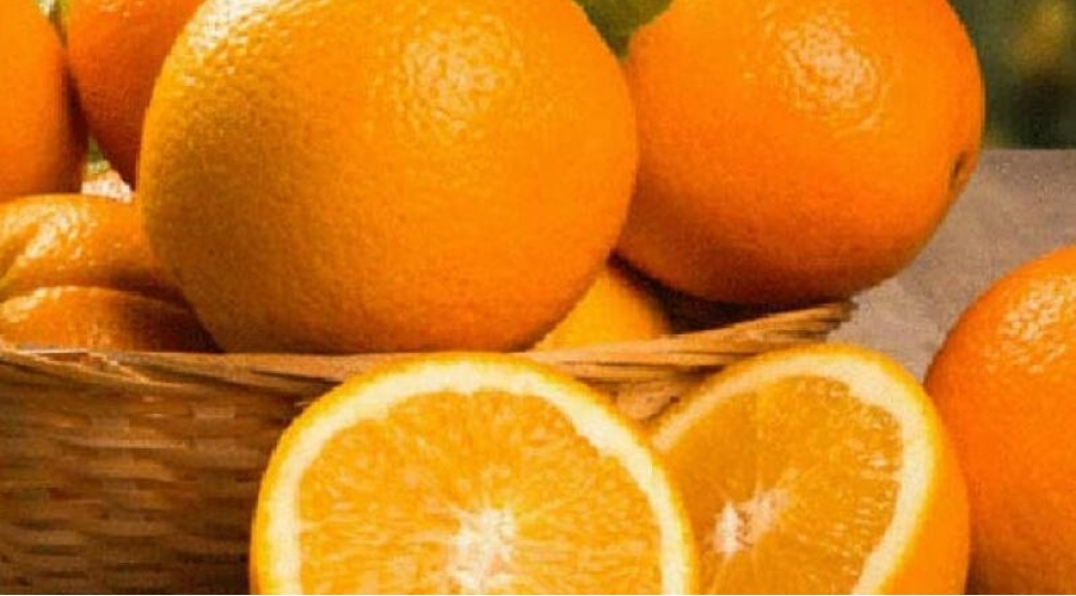 her-gun-1-portagal-yeseniz-mocuzevi-tesirleri