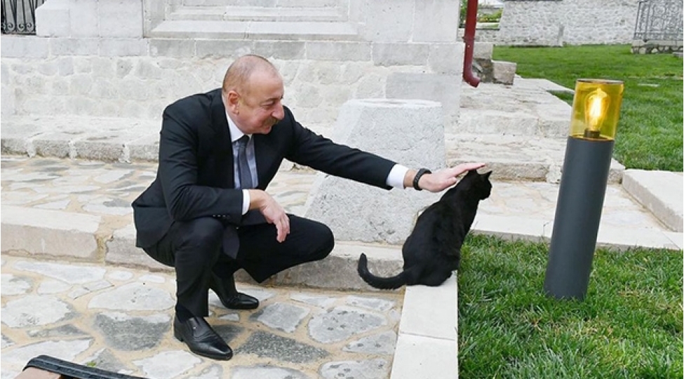 mehriban-eliyeva-shushadaki-pishiyin-yeni-shekillerini-paylashdi