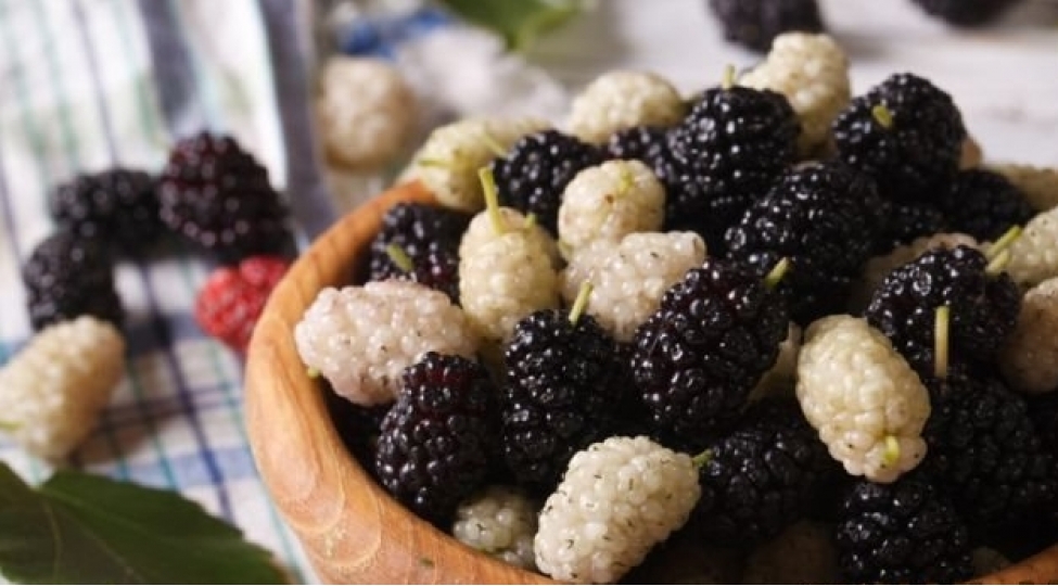 tut-derdler-dermani-yaralar-melhemidir-foto